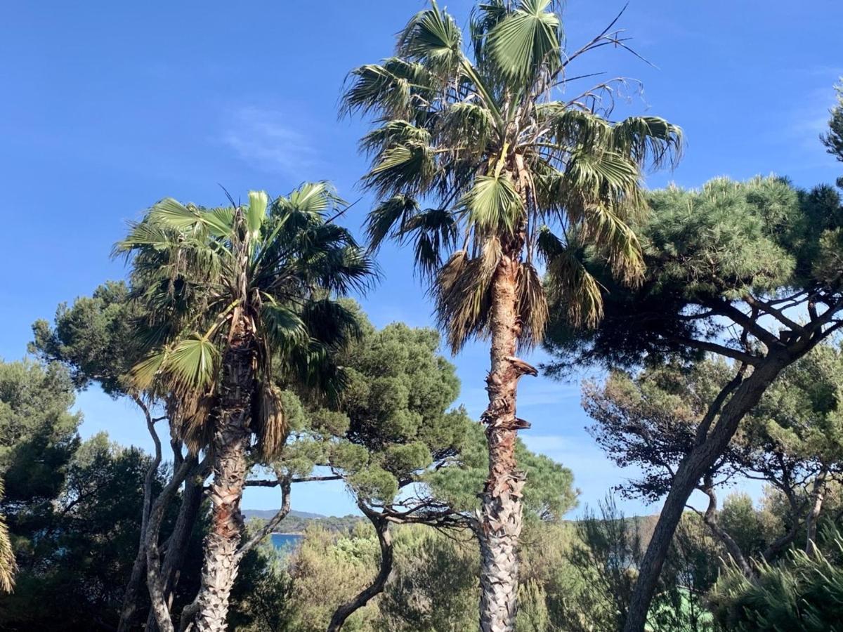 Bergerie Plage Renove Clim Balneo Plage Piscine Jardin Mediterraneen Hyeres Exterior photo